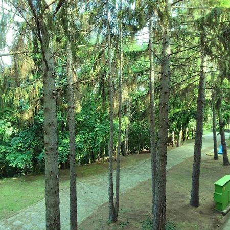 Park Hotel Briz 金沙 外观 照片
