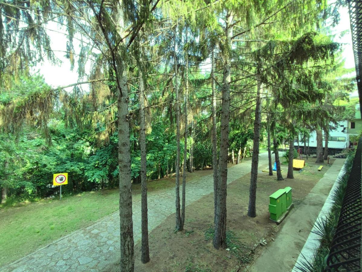 Park Hotel Briz 金沙 外观 照片